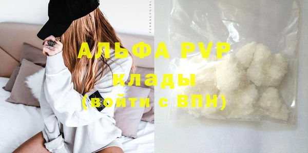 кокс Елизово