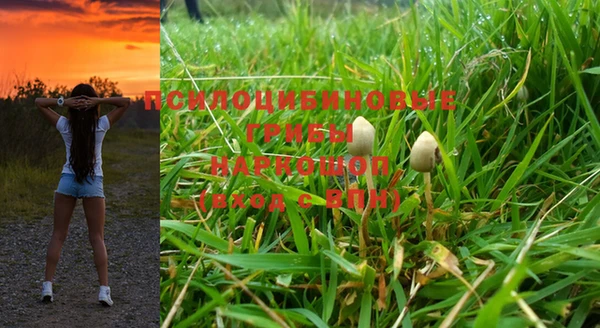 кокс Елизово