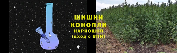 кокс Елизово