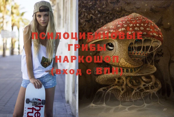 кокс Елизово