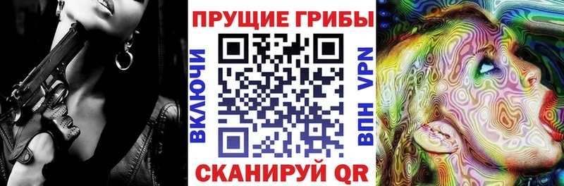 Галлюциногенные грибы Cubensis  Купить закладки  Истра 